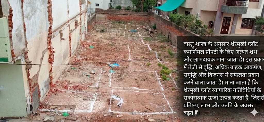 शेरमुखी प्लॉट